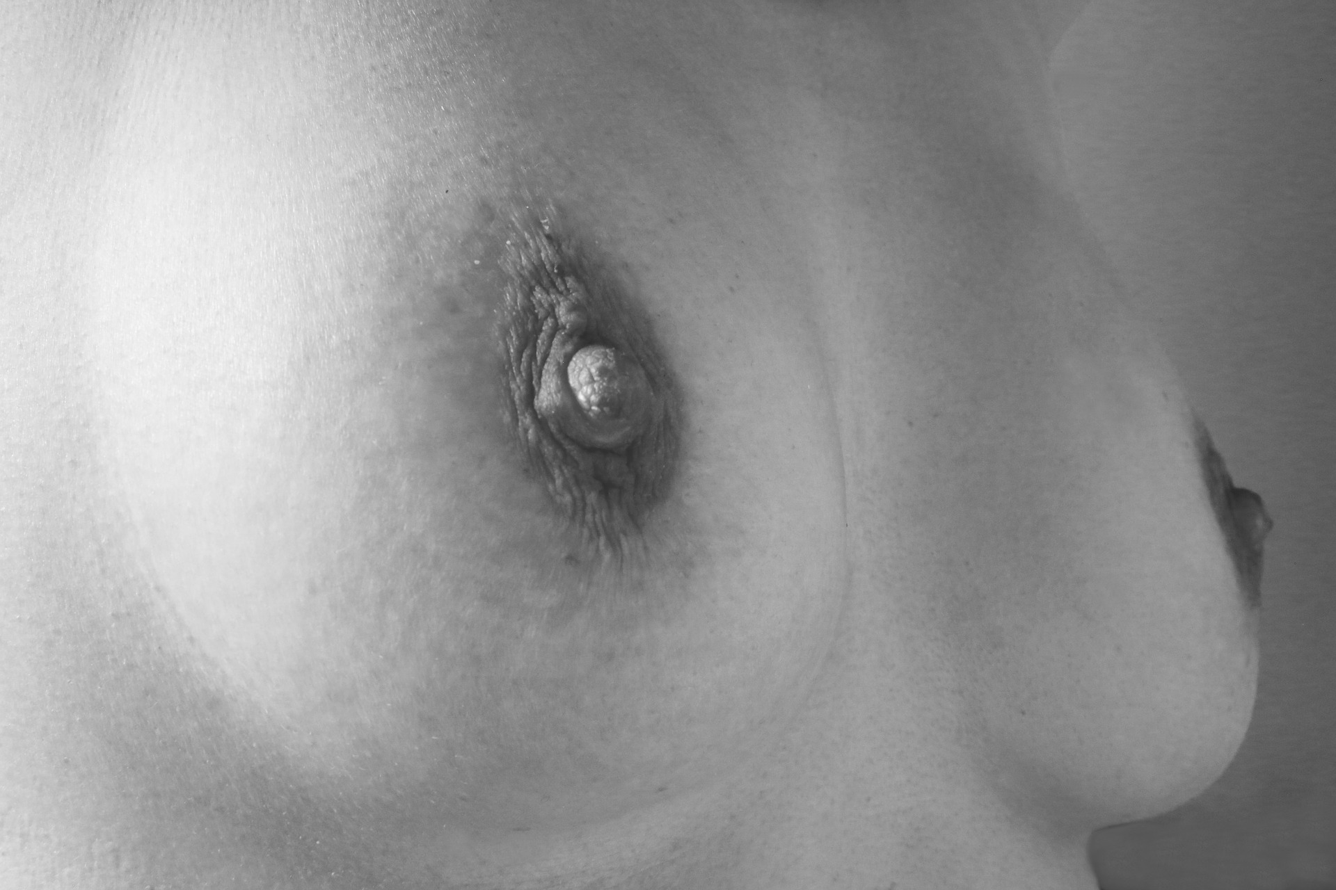 breast-2475732_1920