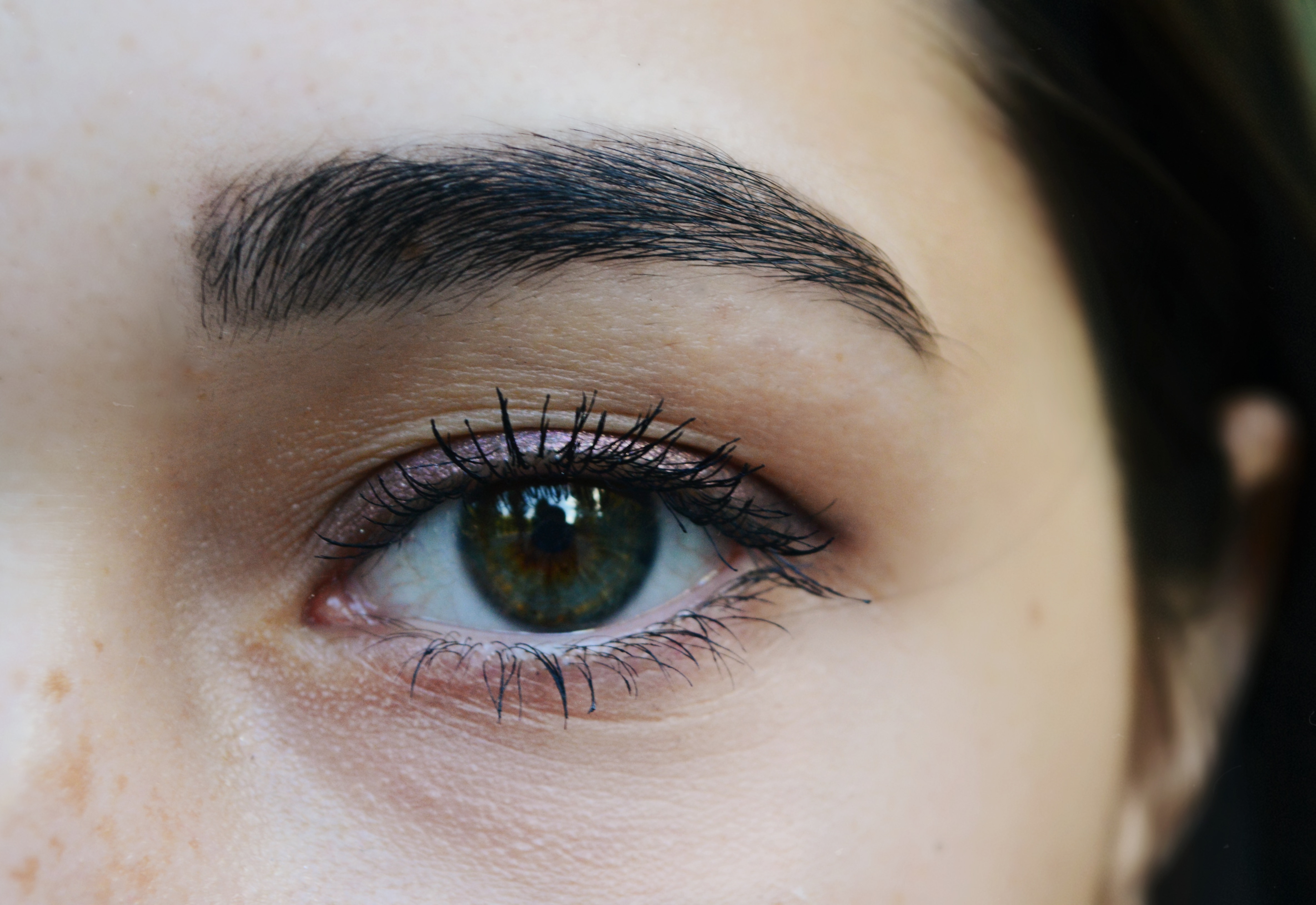 elza-shimpf-rHoMajizsr4-unsplash